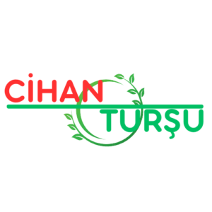cihan tursu resim
